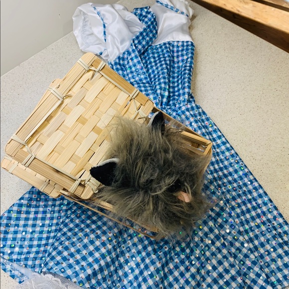 Wizard of Oz Dorothy costume girls sz L Toto dog - Picture 2 of 5